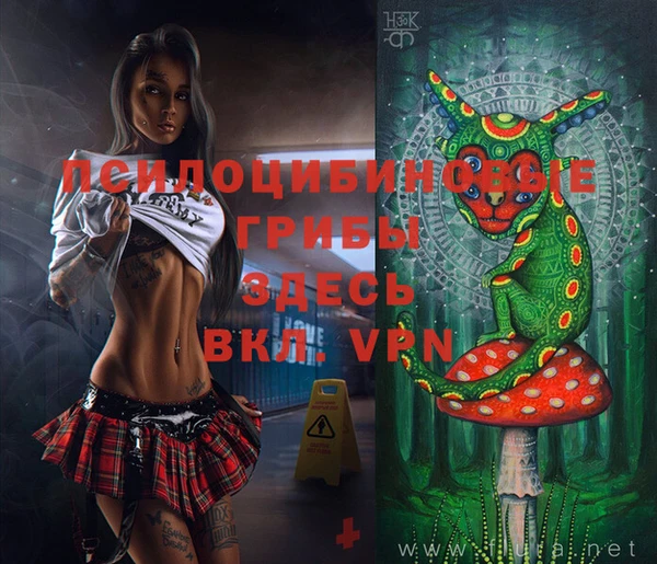 ПСИЛОЦИБИНОВЫЕ ГРИБЫ Няндома
