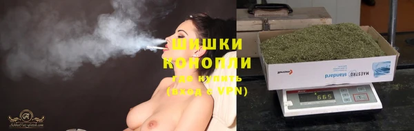 ПСИЛОЦИБИНОВЫЕ ГРИБЫ Няндома