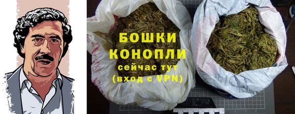 ПСИЛОЦИБИНОВЫЕ ГРИБЫ Няндома