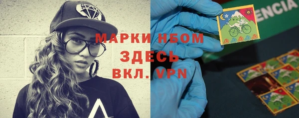 ПСИЛОЦИБИНОВЫЕ ГРИБЫ Няндома